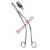 Kleszczyki biopsyjne SCHUBERT 26.0cm